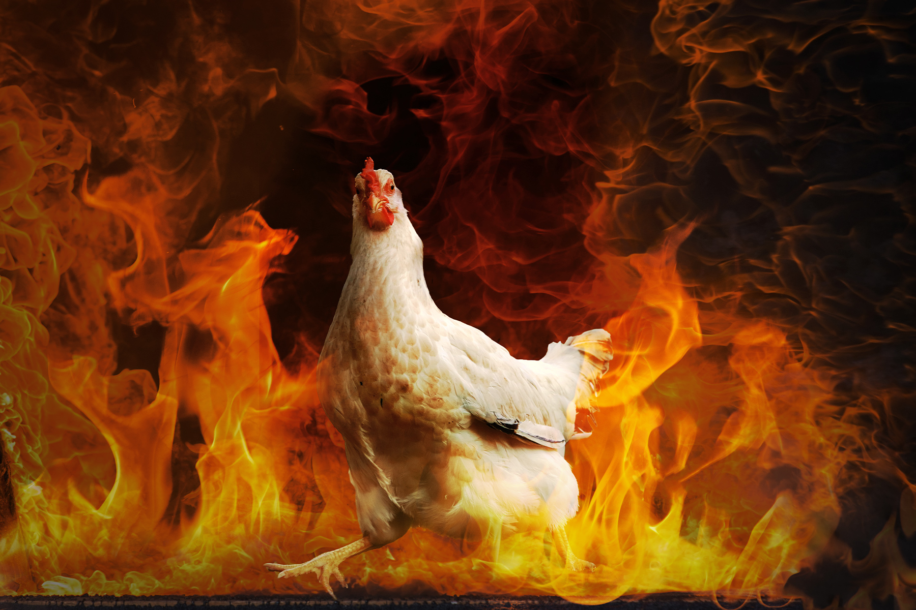 chicken with zer burn