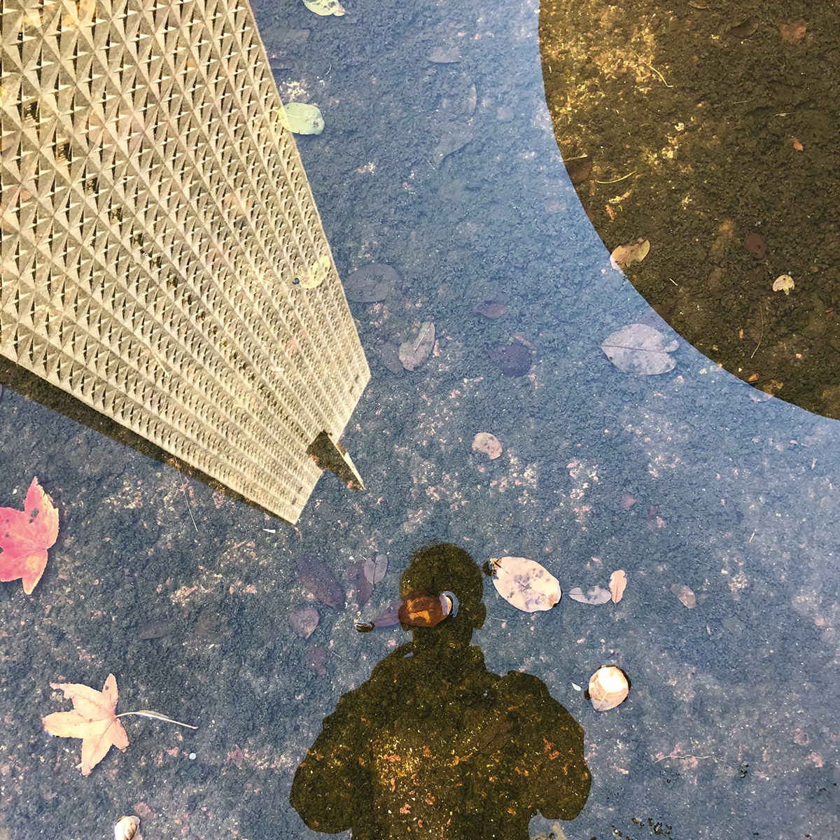 ‘Did It Officially Rain in Dallas Yesterday?’ One Man’s Journey Through an Endless Dallas Summer. — D Magazine