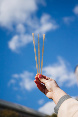 A hand holding PlantSwitch straws