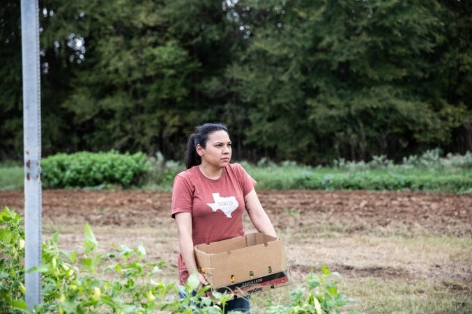 chef Jessica Alonzo in a farm.