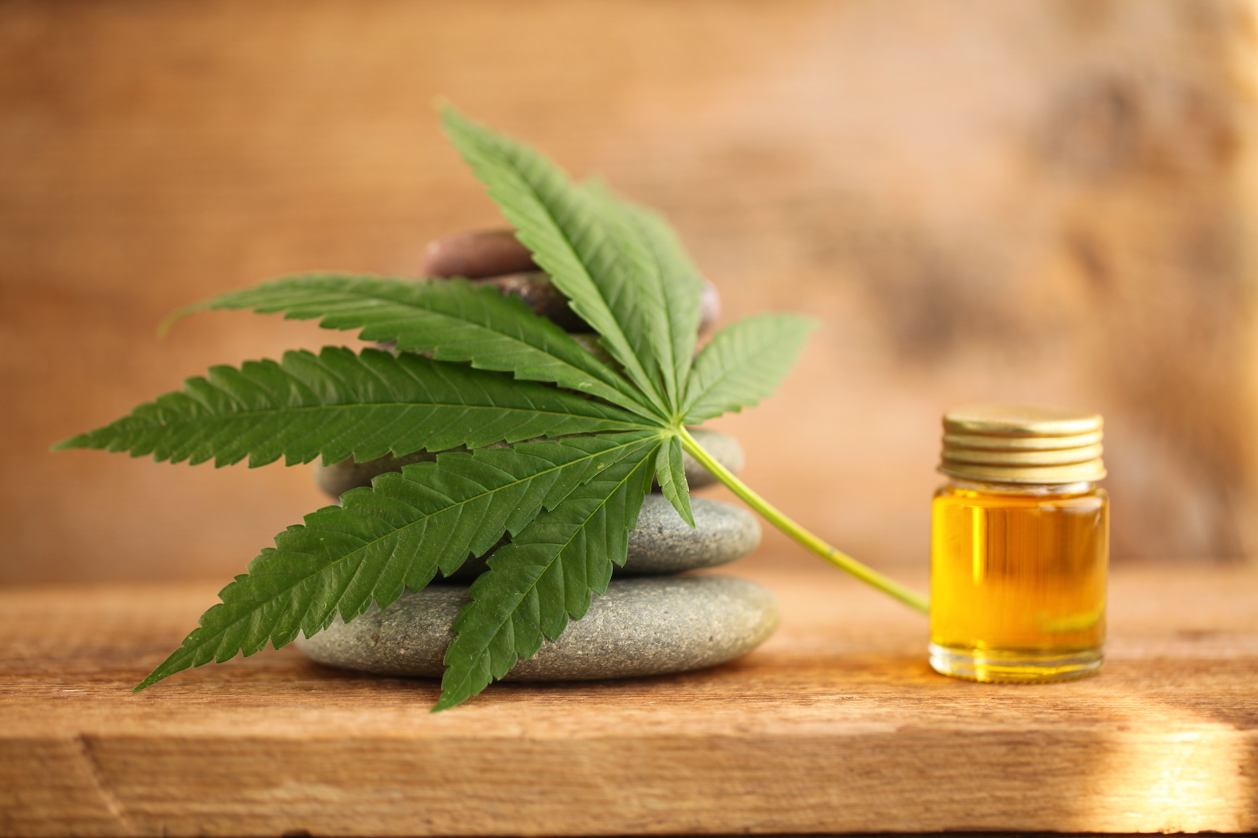 Best CBD Oil: Top Brands of 2022 - D Magazine