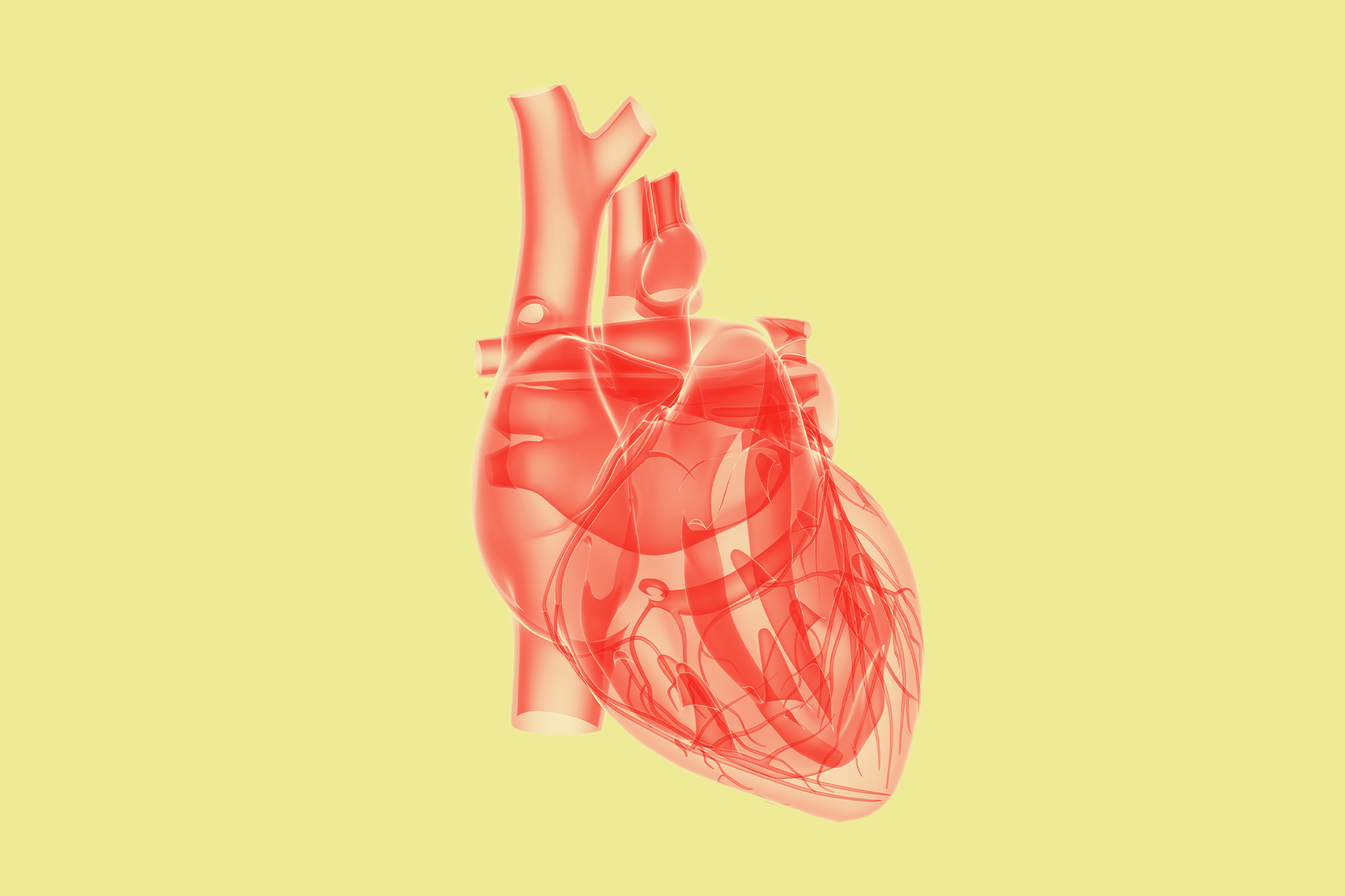 heart illustration