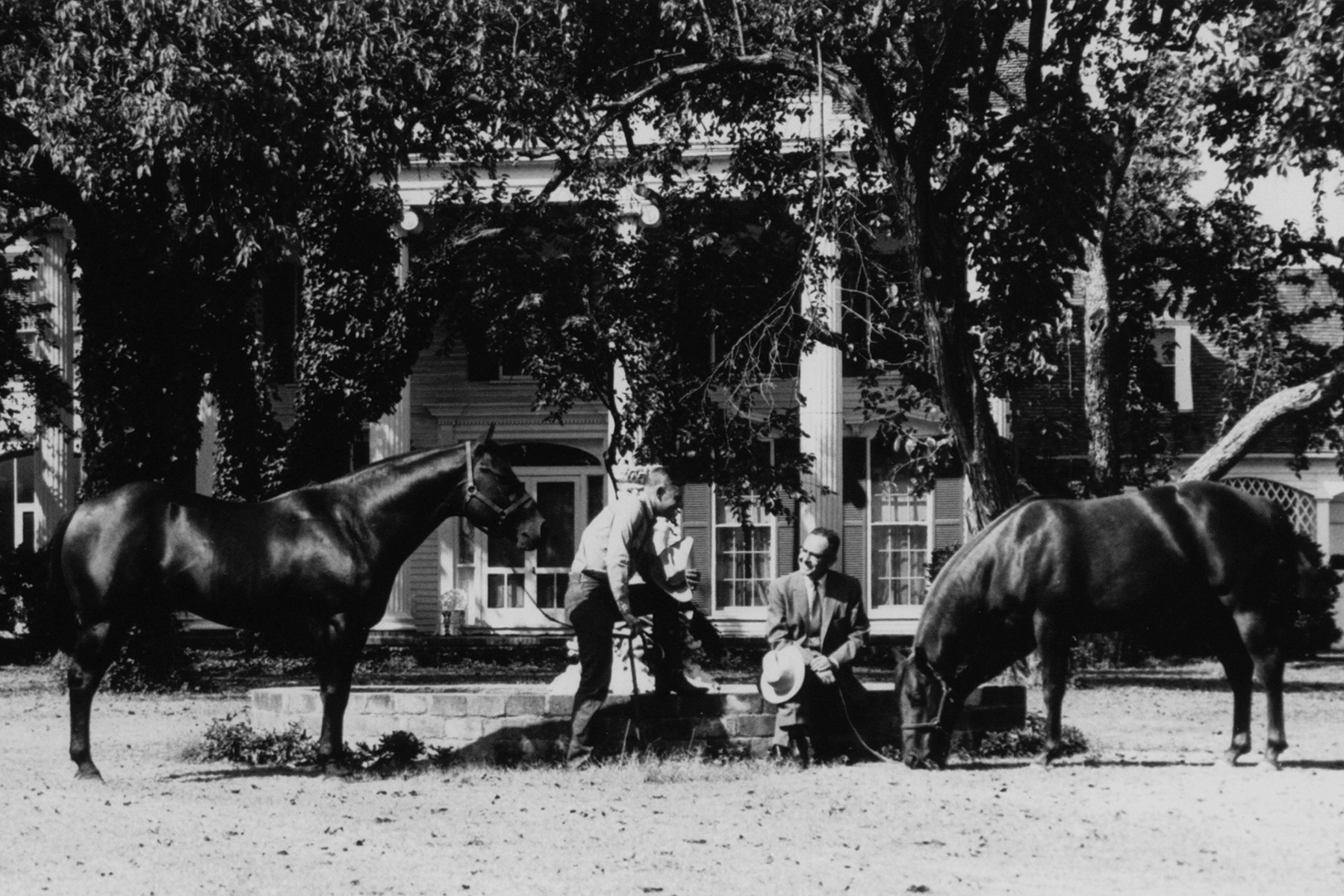 Will Caruth Jr and his horse trainer and horses in 1959