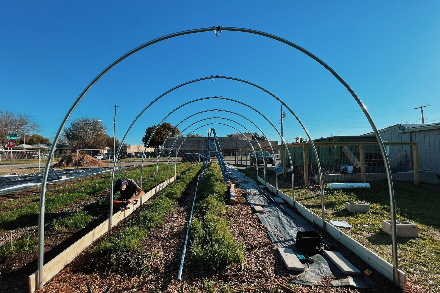 With a bluebird sky in the background, in the foreground there's hoops for an urban farm, underneath them soil and bushels of greens, plants, lettuce, and more.