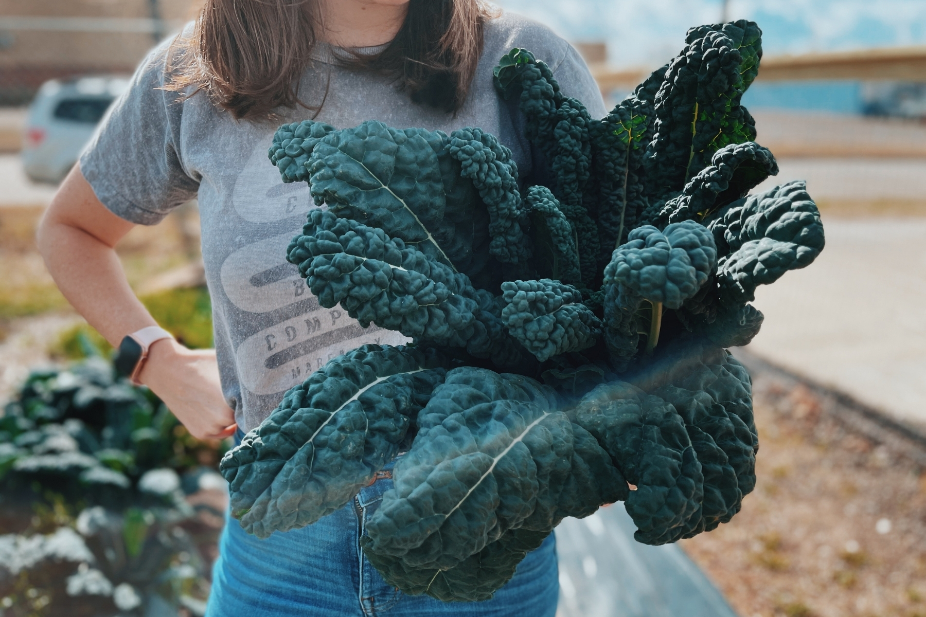 A woman hold a big bundle of lacinato kale.