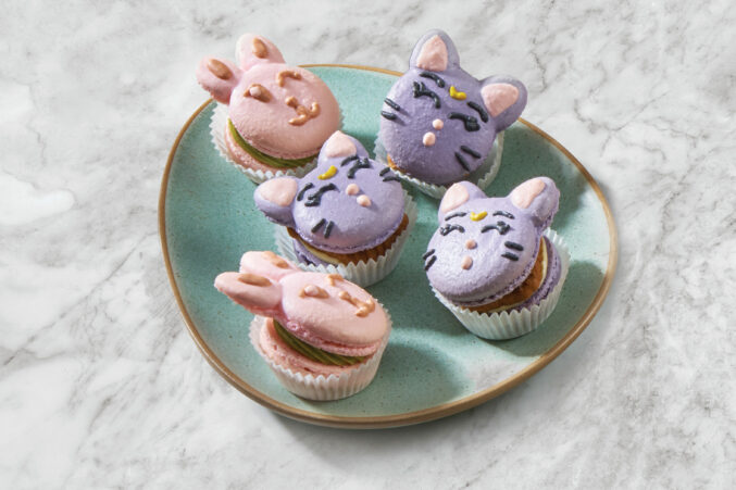 cute character macarons