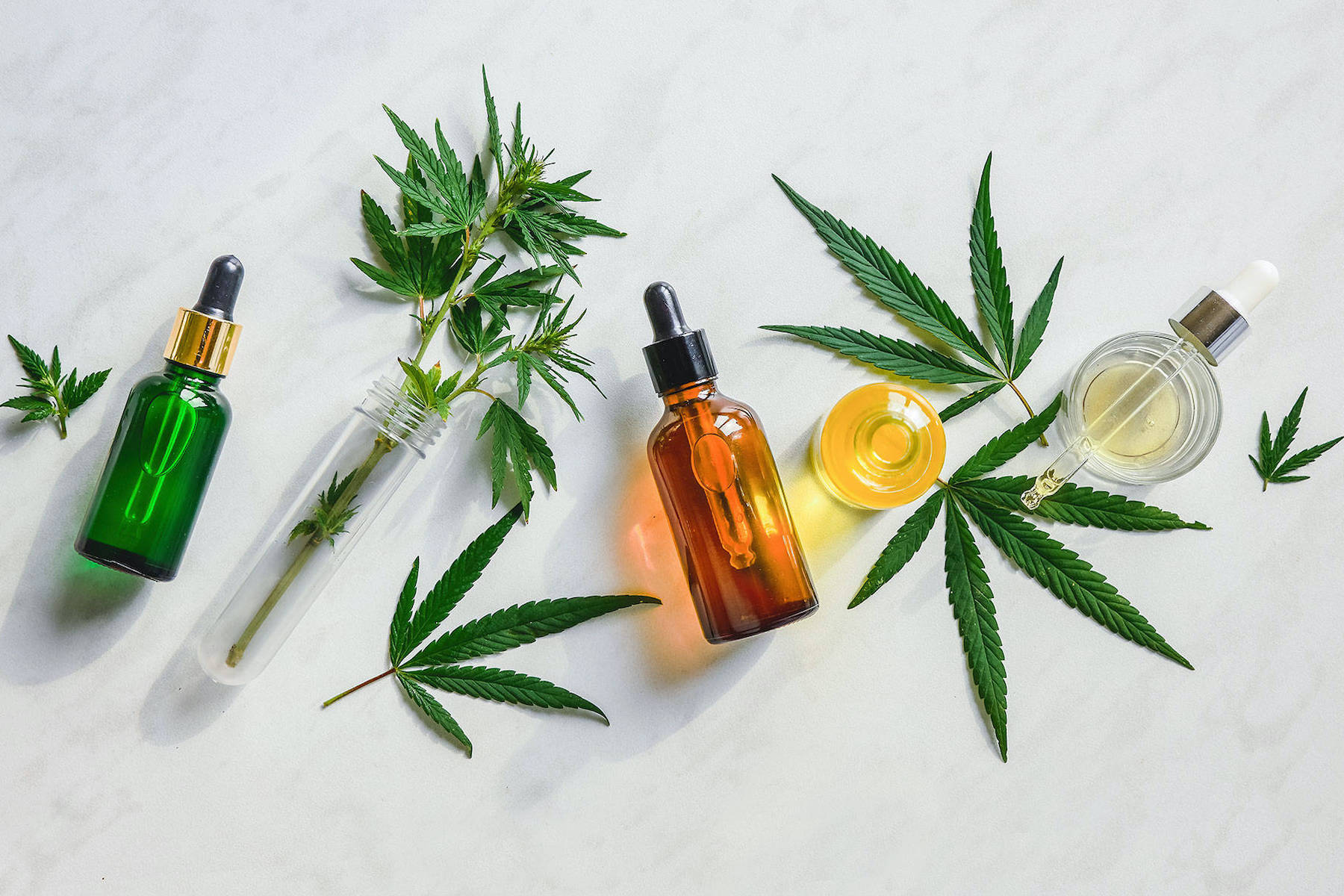 cbd oil for sale