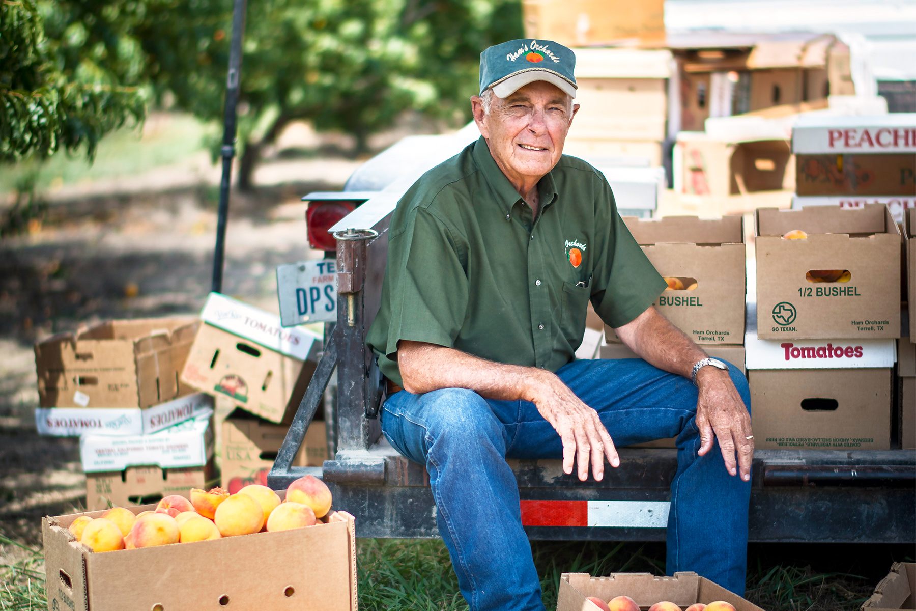 Ham Orchards