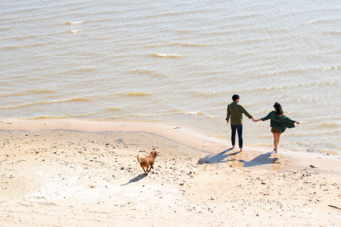 Lake Texoma shores