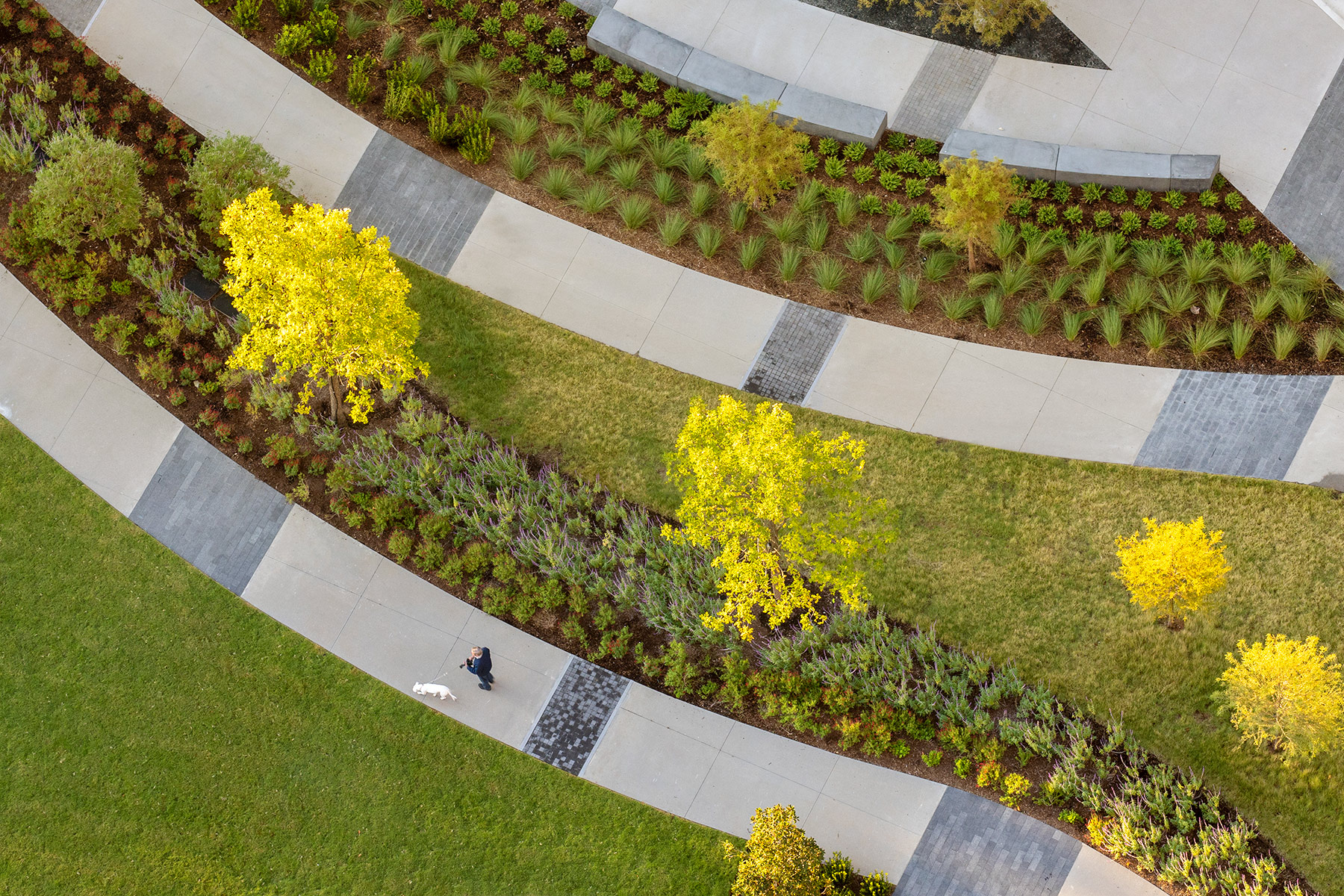 Pacific Plaza: A parking lot that was a park in waiting