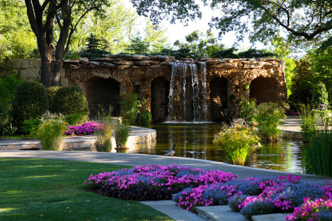 Arboretum Koi Pond