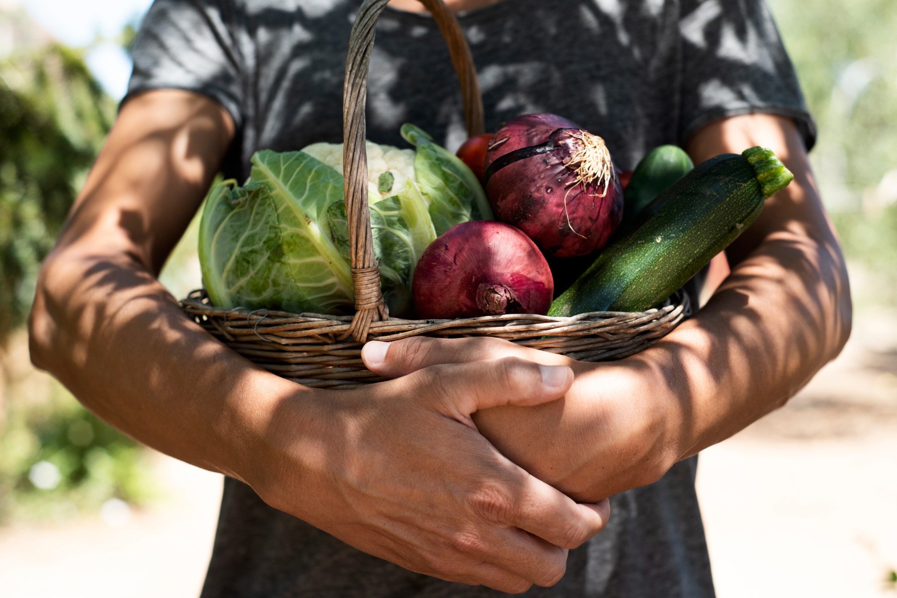 closeup of a young person with a rustic basket full of vegetables freshly collected in an organic orchard