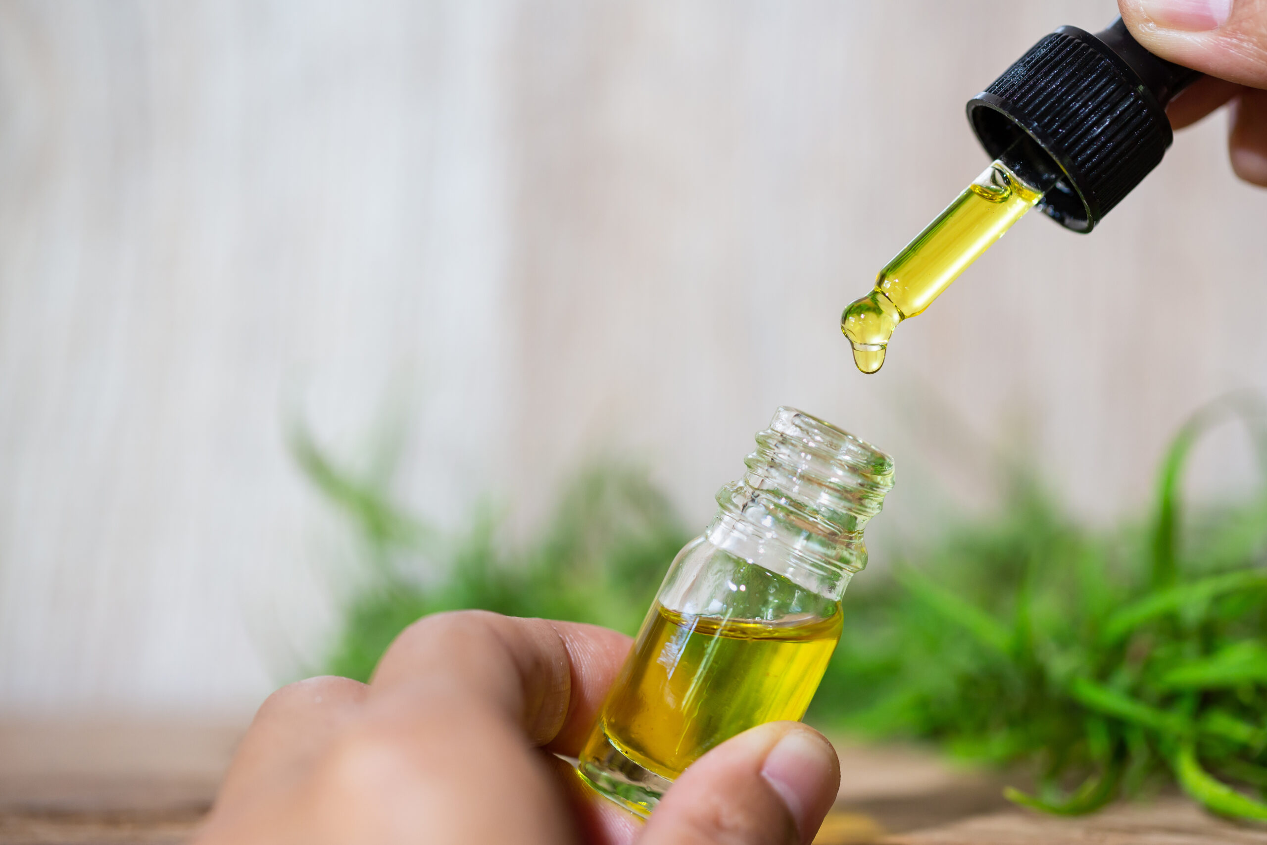 How to get the best quality cbd merchandise