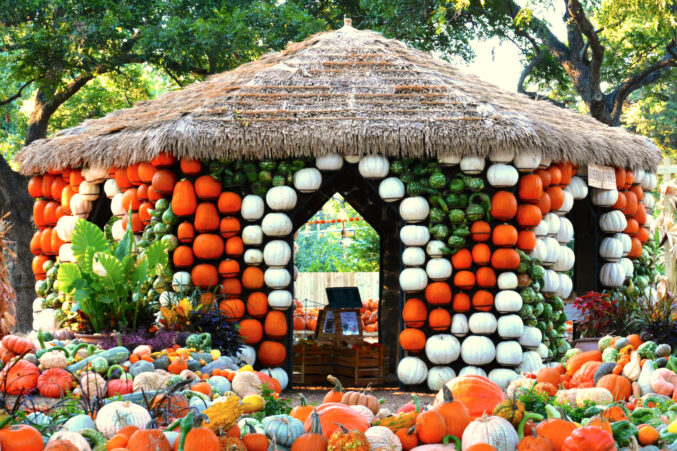 The 2020 Pumpkin Village at the Dallas Arboretum.