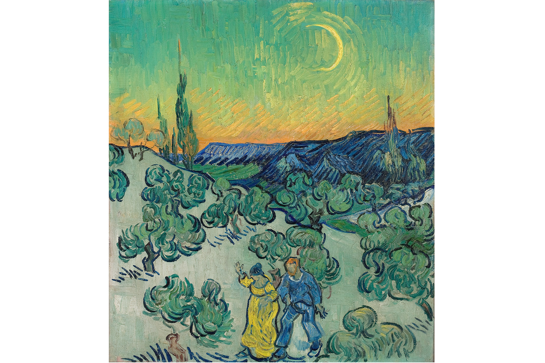 Van Gogh and Olive Groves