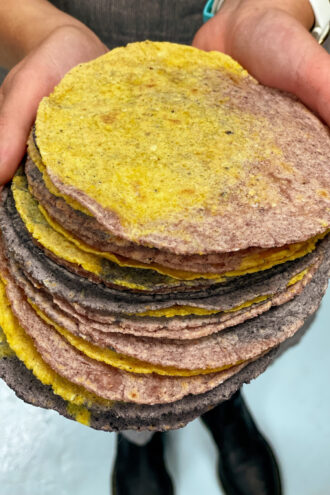 a stack of colorful blur, yellow, and red corn tortillas made by hand by Olivia Lopez.