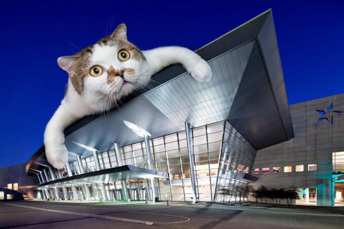 Cats of brutalism Dallas Convention Center