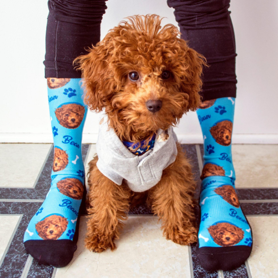 25 Best Custom Dog Socks to Buy Right Now D Magazine