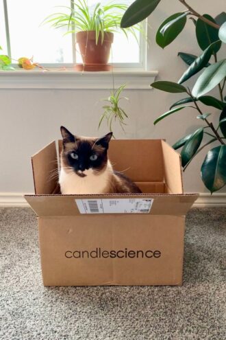 CandleScience Modern Ceramic Tumbler Shipping Box