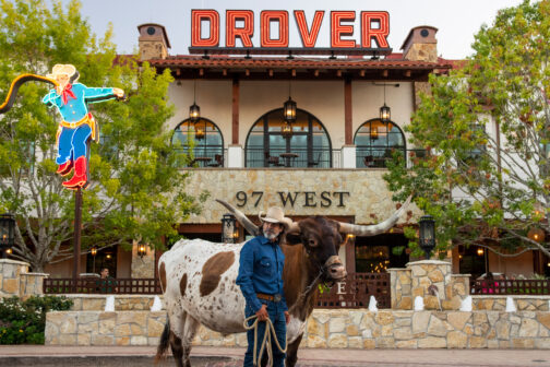 Hotel Drover