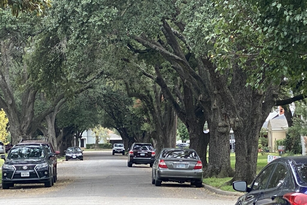 The Conclusion of Bitter Elm Thicket Zoning Battle Leaves Dallas With