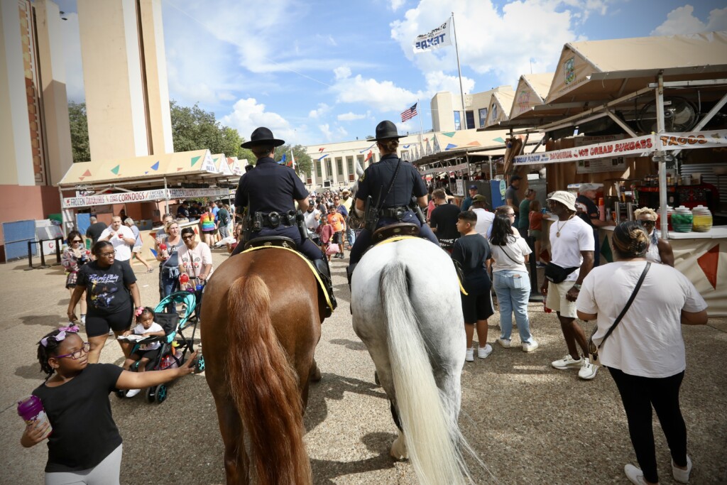 state-fair-photo-of-the-day-10-18-horses-get-in-free-d-magazine