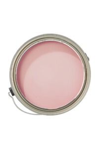 Proper Pink from Jolie Home and Caitlin Wilson Collaboration