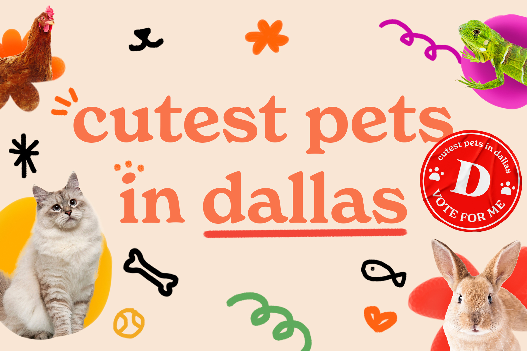 It Is Time For You To Judge the Cutest Pets in Dallas - Vimarsana News