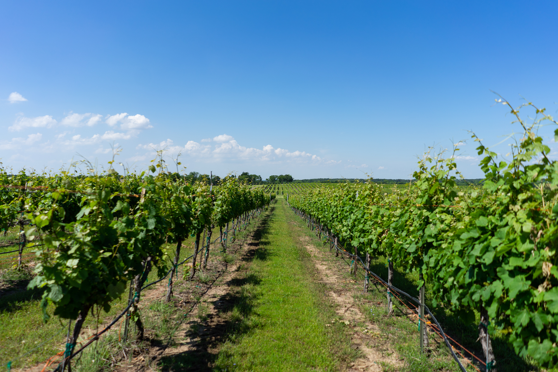 Summer Itinerary: Take a Craft Beverage Tour - Vimarsana News