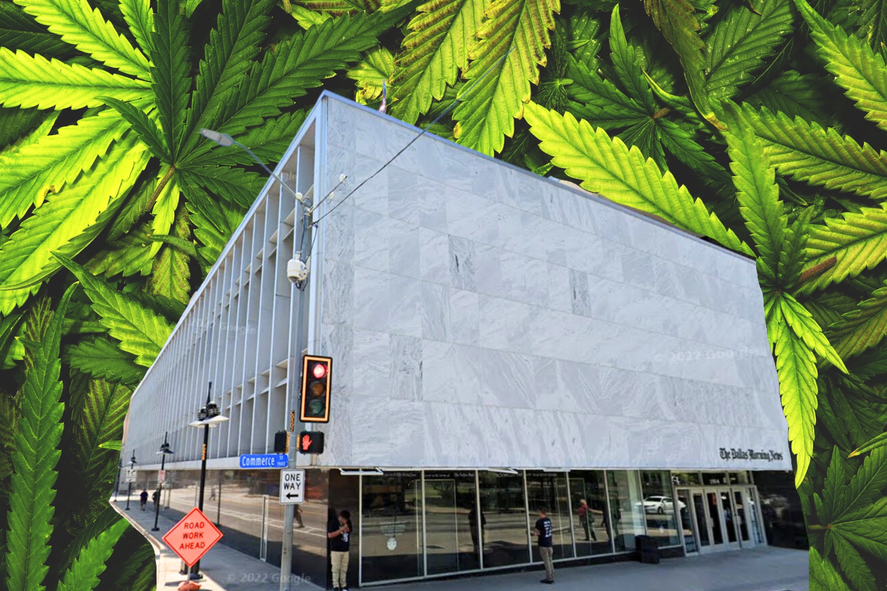DMN Gets Marijuana Story Right—And Very Wrong - Vimarsana News