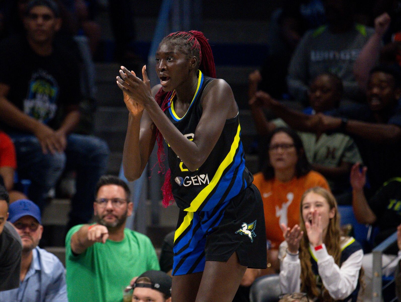 Sights and sounds from a Chicago Sky championship - The Next