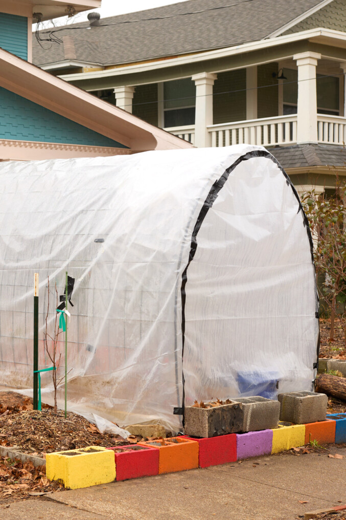 How to Turn Your Front Yard Into an Urban Farm, Legally - D Magazine