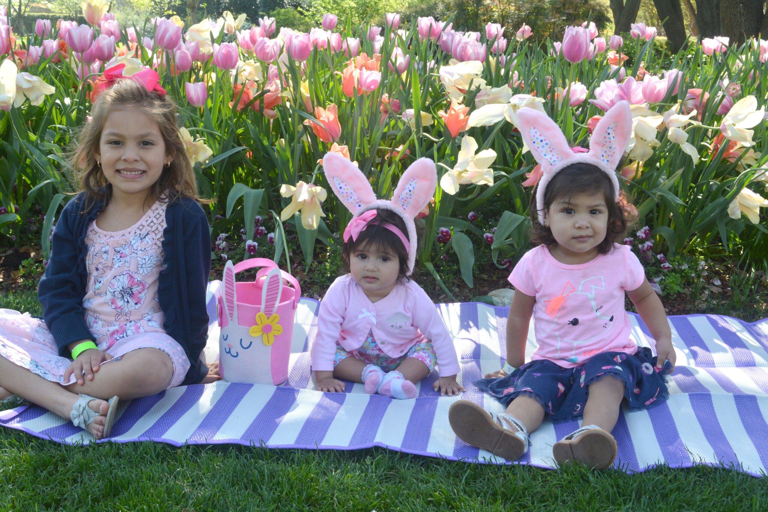 26 Ways to Celebrate Easter in Dallas-Fort Worth This Month - D Magazine