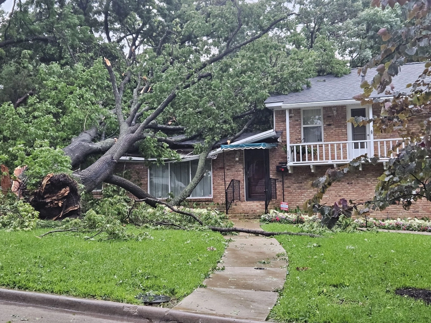 Declaration For Tree Over Half a Million North Texans Without Power; Disaster Declaration ...