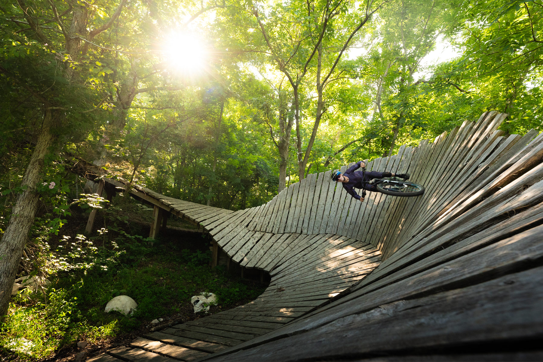 Arkansas - D Magazine - Vimarsana News