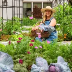 A woman in a straw hat and denim overalls smiles while holding a basket of harvested red cabbage in a lush kitchen garden. The garden is filled with raised white beds containing large cabbages, pink cosmos flowers, and leafy green vegetables.