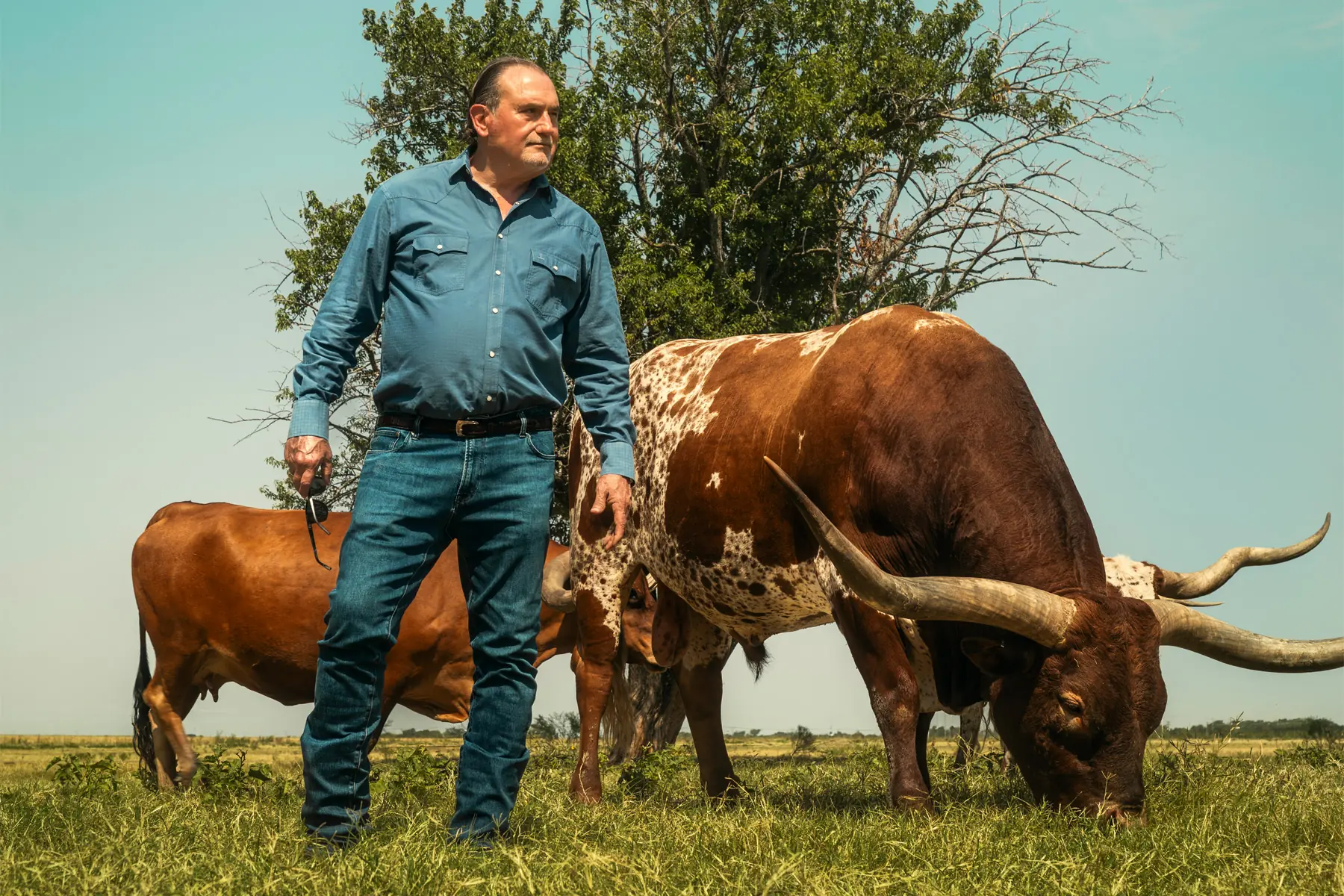 Rex Glendenning: King of Dirt and the Longhorns - D CEO Magazine