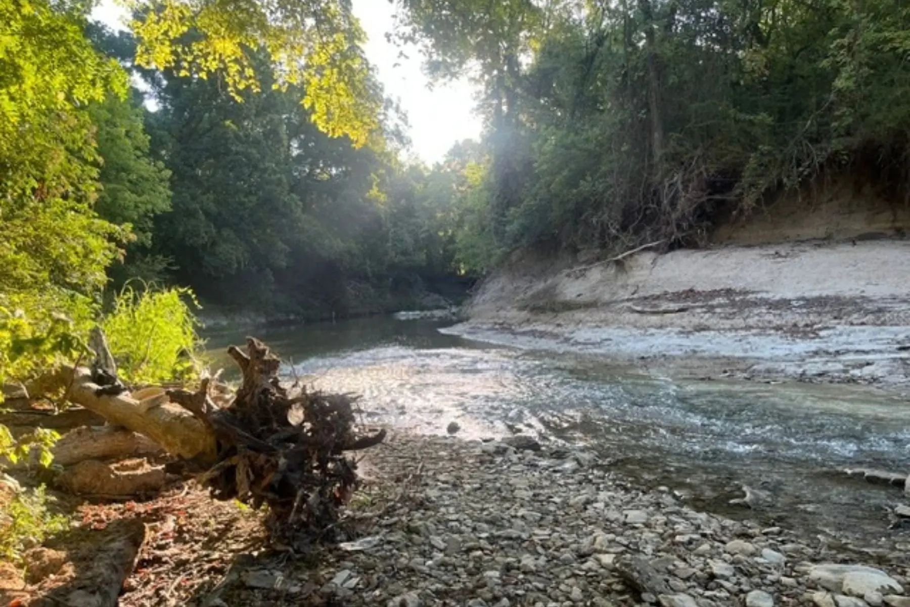 A Hike Through Spring Creek Park — D Magazine