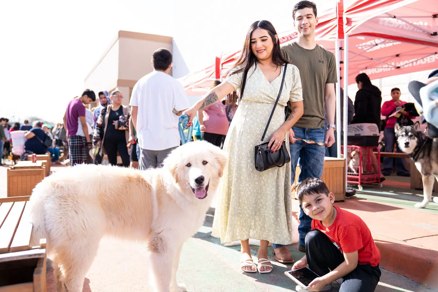 How Operation Kindness Is Supporting Both Ends of the Leash — D Magazine