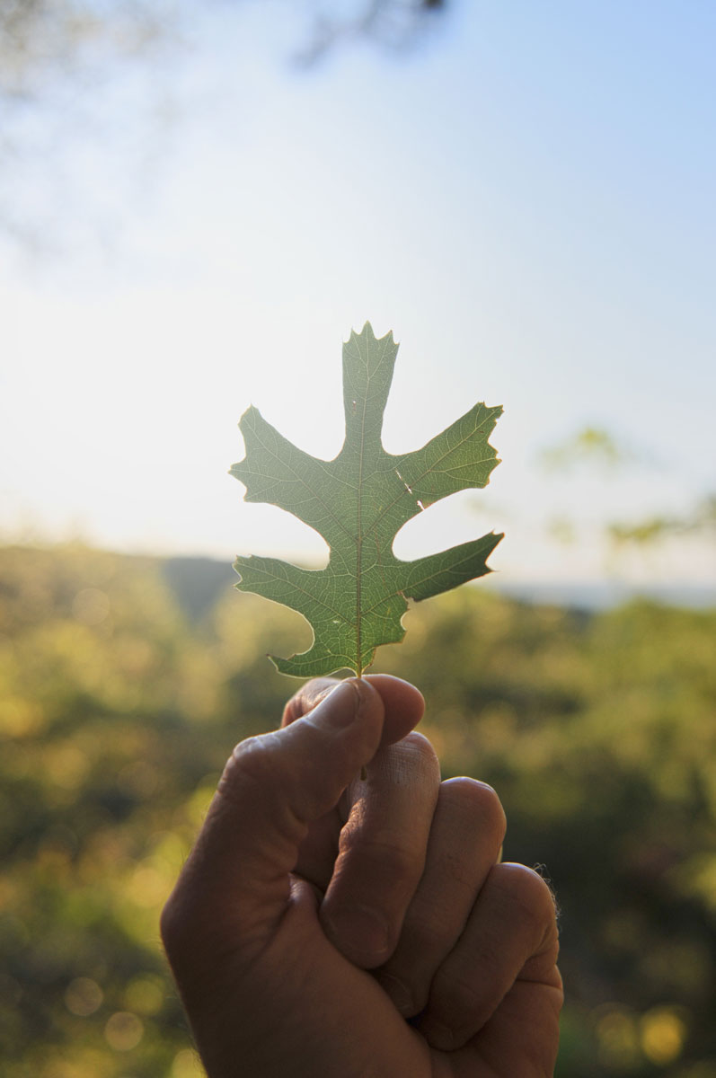 10 Top Trails For Hiking and Biking in Dallas D Magazine