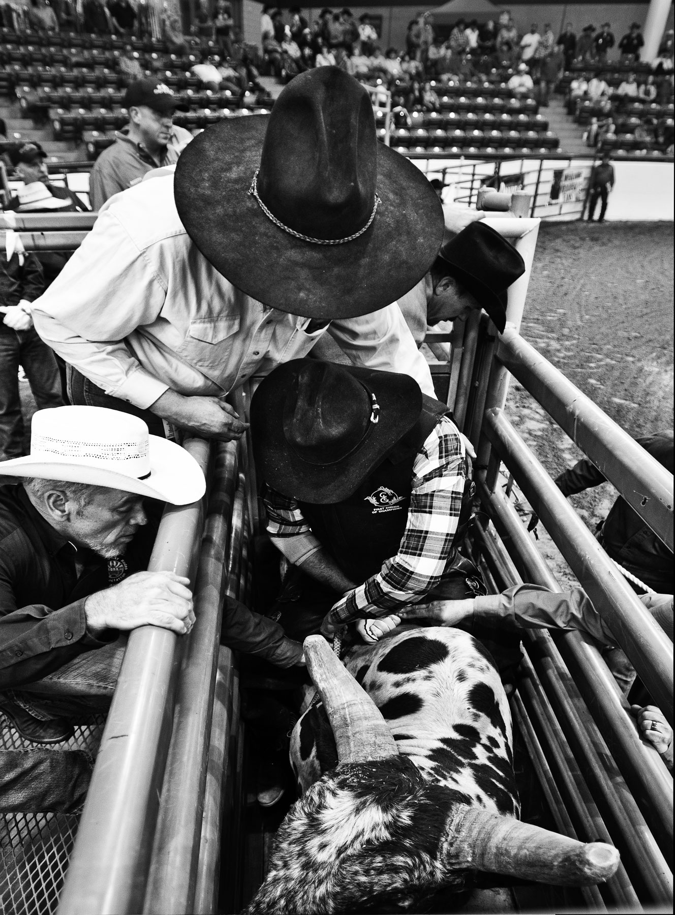 Entering the gates of the rodeo